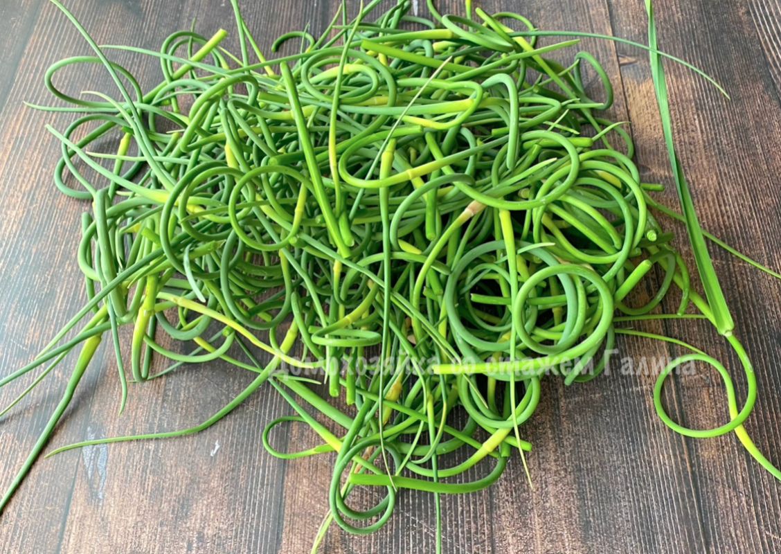 ��������� �����: ������ ���������������� ����� �� ����� �����