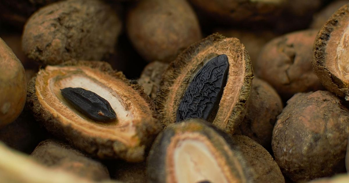 ���� �����: ������ ������ ����������� �������