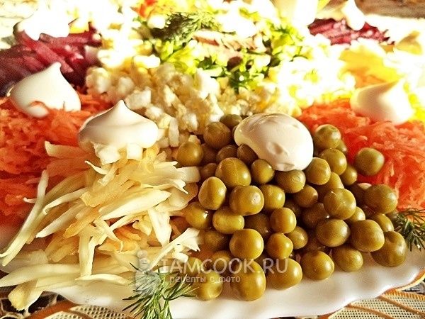 �������� ����� � ���������: �����, ������ � ���� � ������ �����