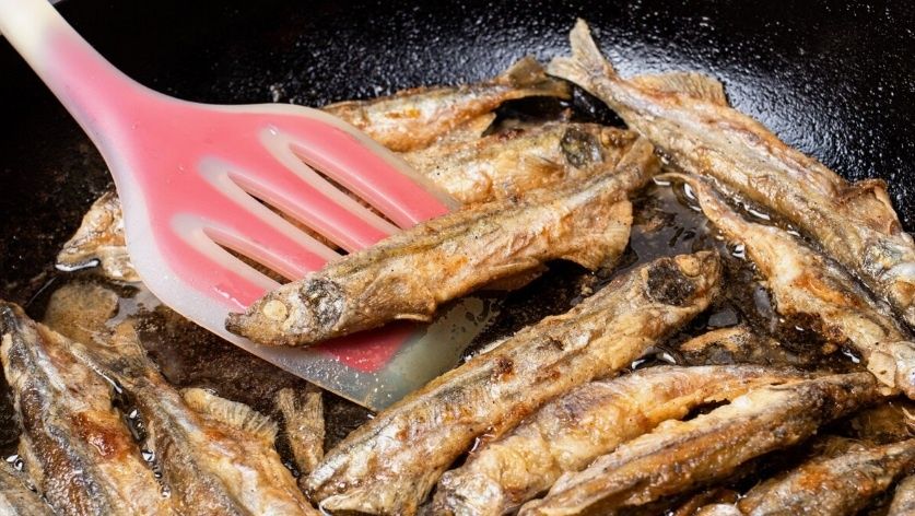 ����� ������� �����: ������� ������, ������� ������� ���� ������