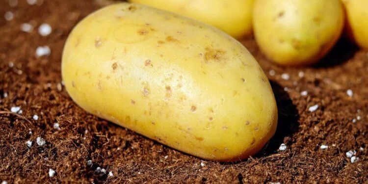 ������������� ���������� ������ ���������� ������� ��������� �� ���� ���������� ������