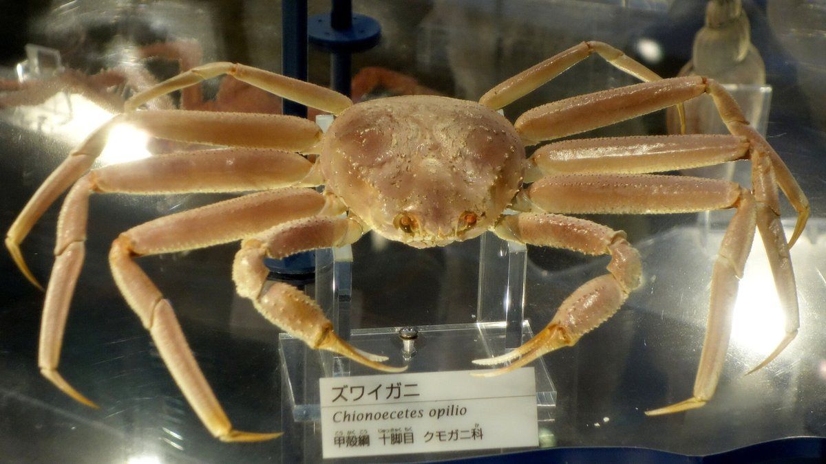 ����� ���������� ���������� ��������� ������������