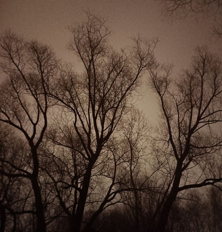 ������� � ����� �������