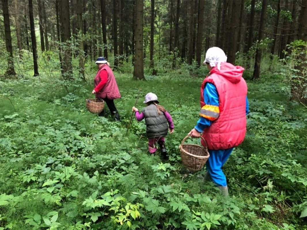 ��� �������� ��������� ��������� �� ��������: ������� �� �������� �������