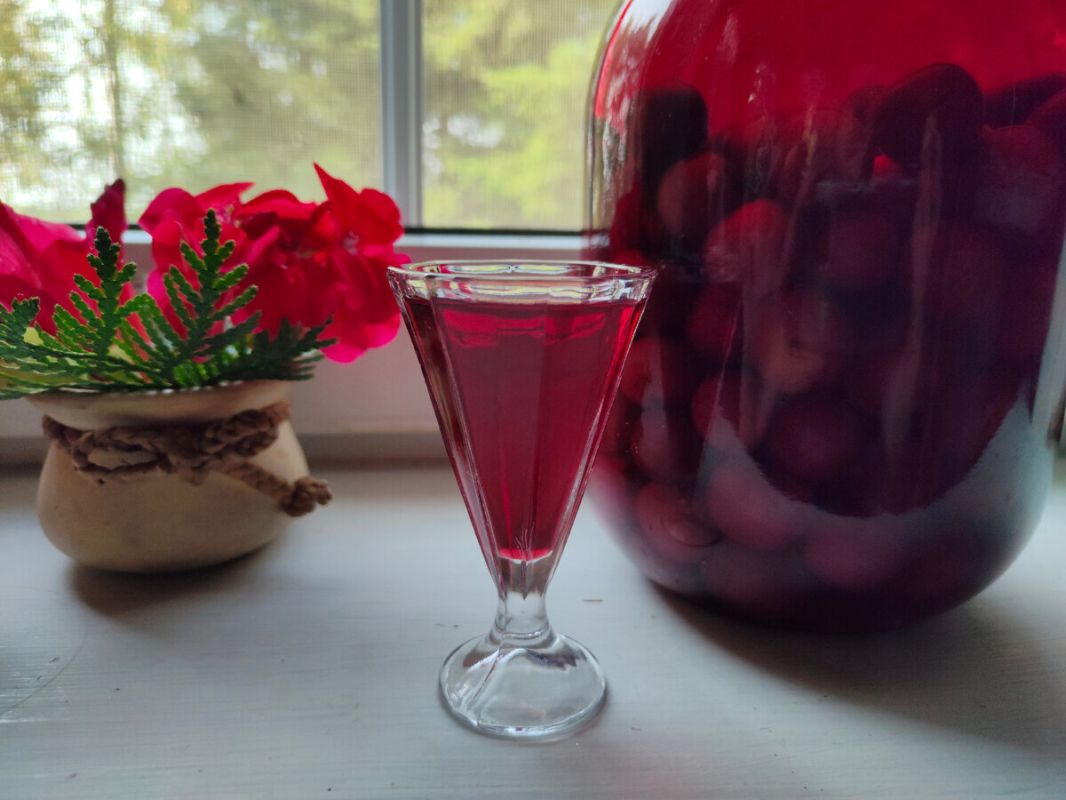 �������� ������� ������� ��������� ������� ������ �������������