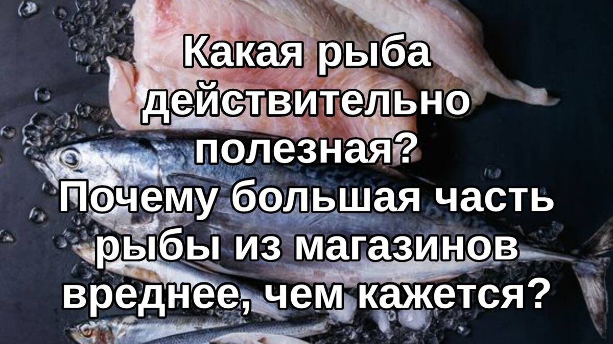 Почему рыба может быть вреднее, чем кажется: разбор основных мифов