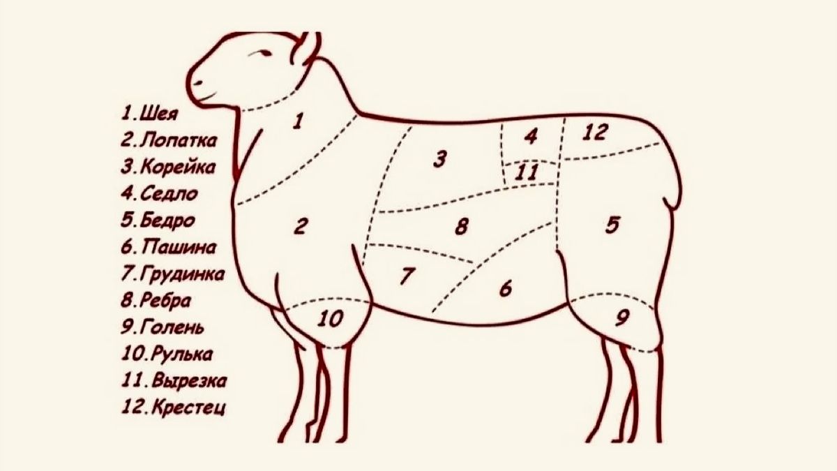Как выбрать идеальную часть баранины для шашлыка и других блюд