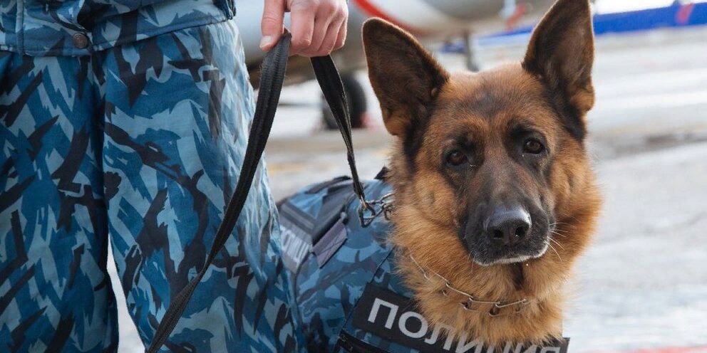 Как бюджетно отпраздновать 8 марта: веселый кулинарный девичник с подругами