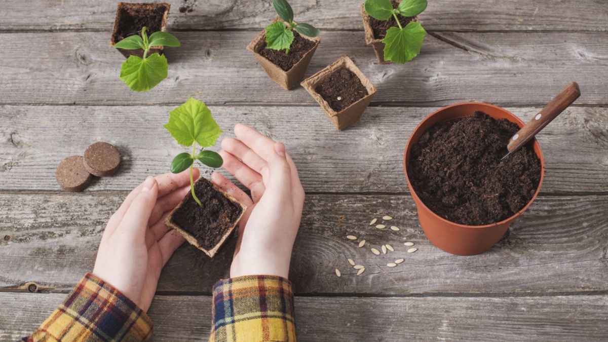 ����� �������� ��������� ��������� �������: ��� ������� ������