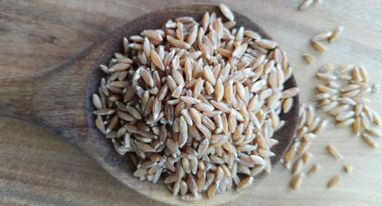 �����: ������� ���� � ������������ �������������