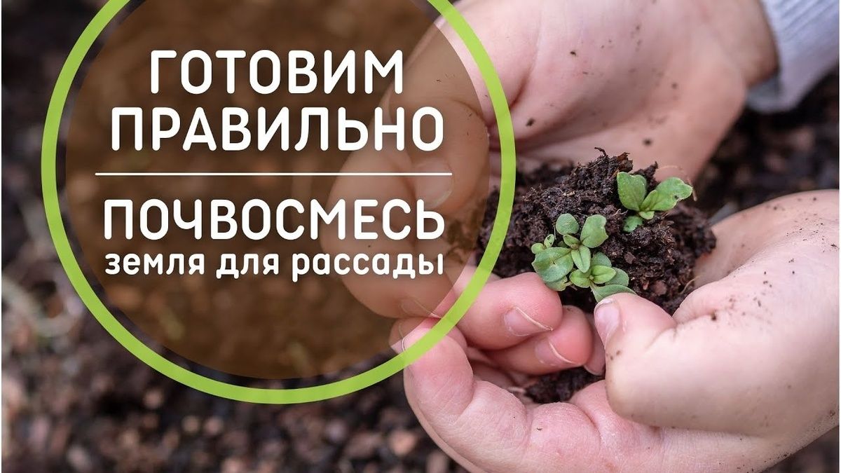 ��� ������� ��������� ����� ��� �������: ������������ �����������