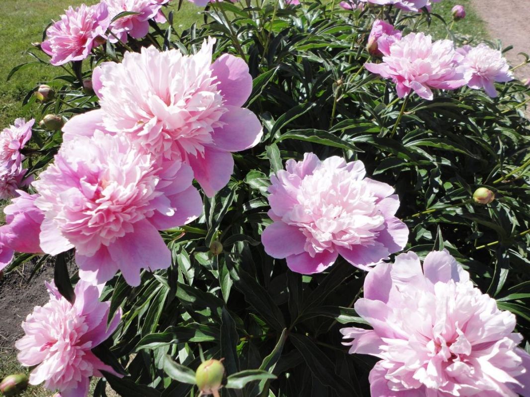 ��� �������� ������� �������� ��������������� ������: ������ ��� ���������