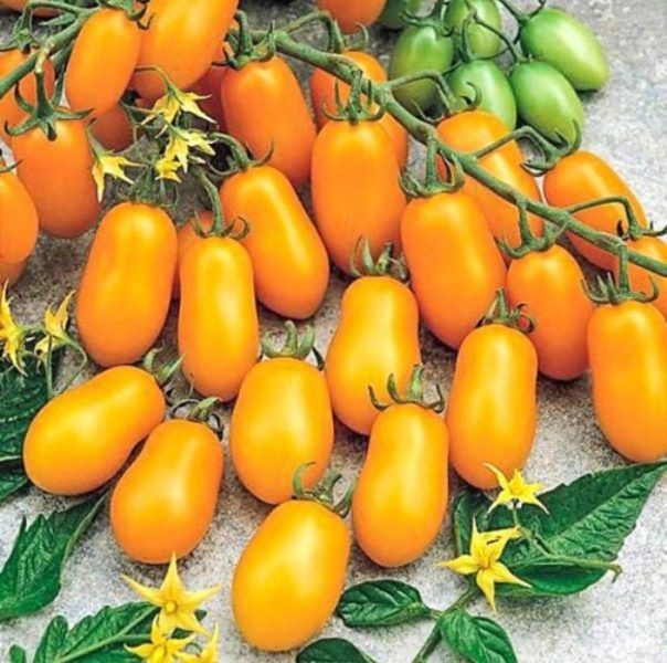 ����� ����� ������: ��������� ������ �� ������� ��������� �� ����� �����