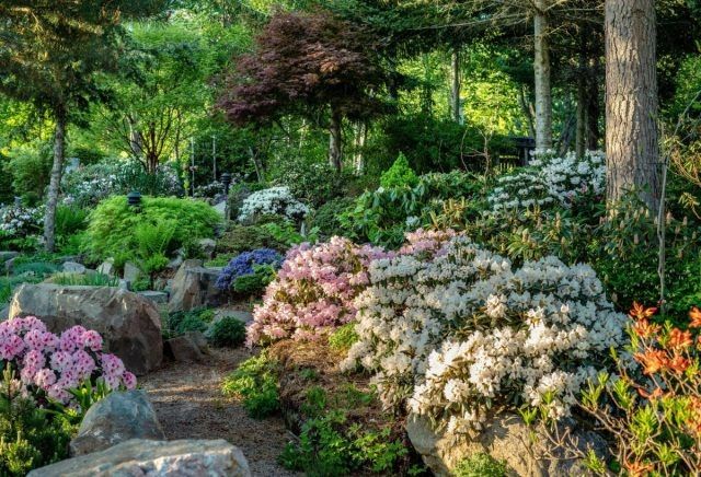 ����� ������ � ����������� ����