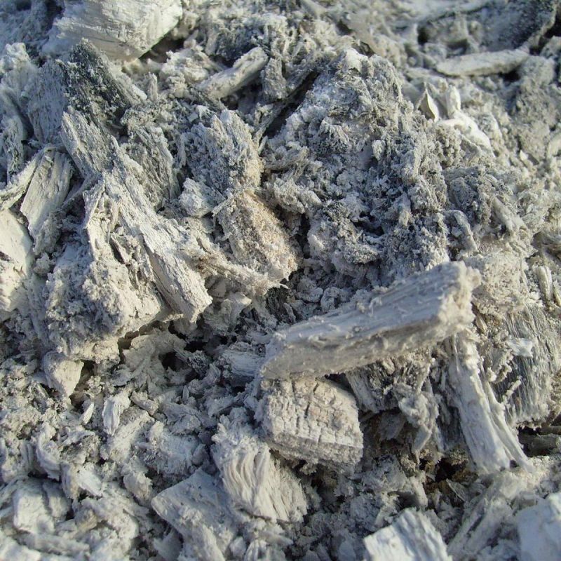 ��� ���� ���������� ��� � ���������: ������� ��������� ���������