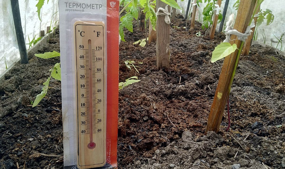 ��� �� ��� � ������ ���� � �������� ��� �� ���� ������� ����� ���������