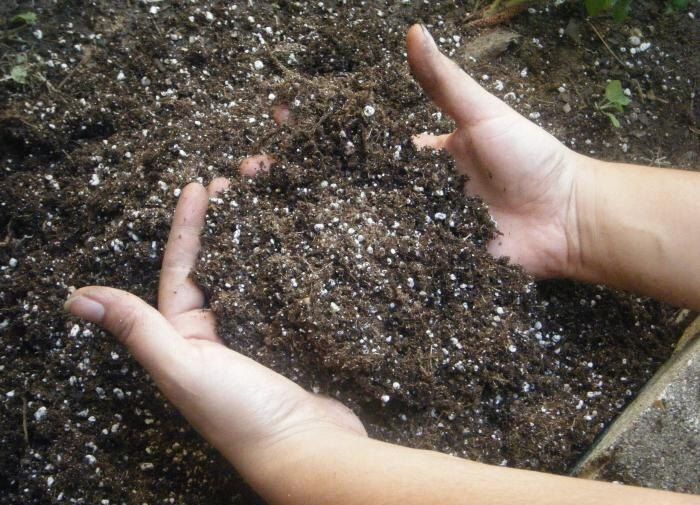 ��� ��������� ������ �����: ������ �� �������������� ���������� �� ���������