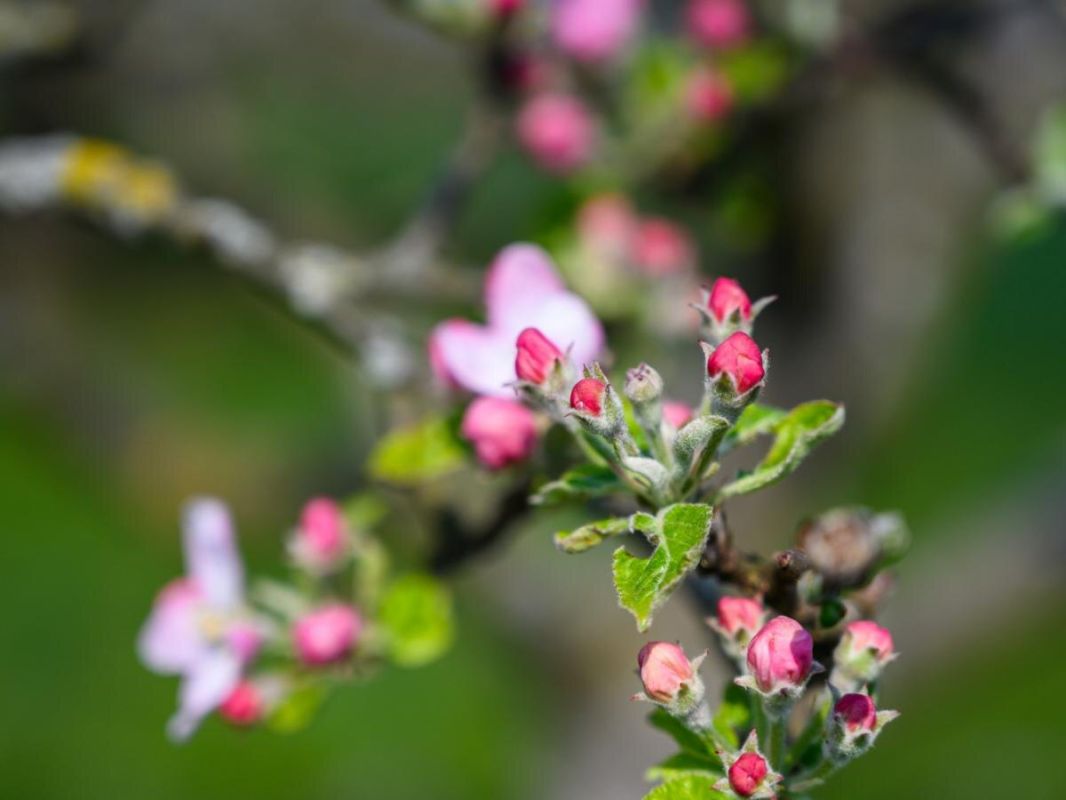 ��� ���������� ������ ������� �������: ������� �������� ���������