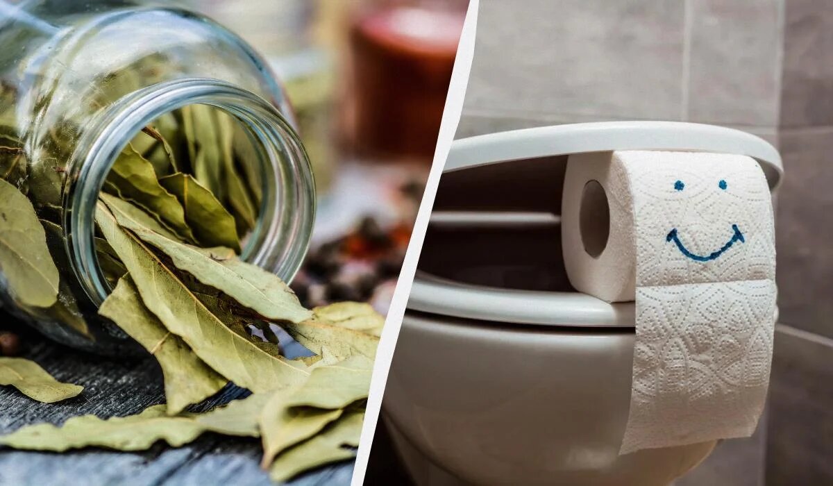 Лавровый лист в унитазе: неожиданные преимущества для вашего дома