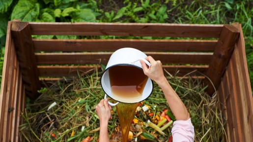 Как добиться идеального компоста: секреты переработки даже костей