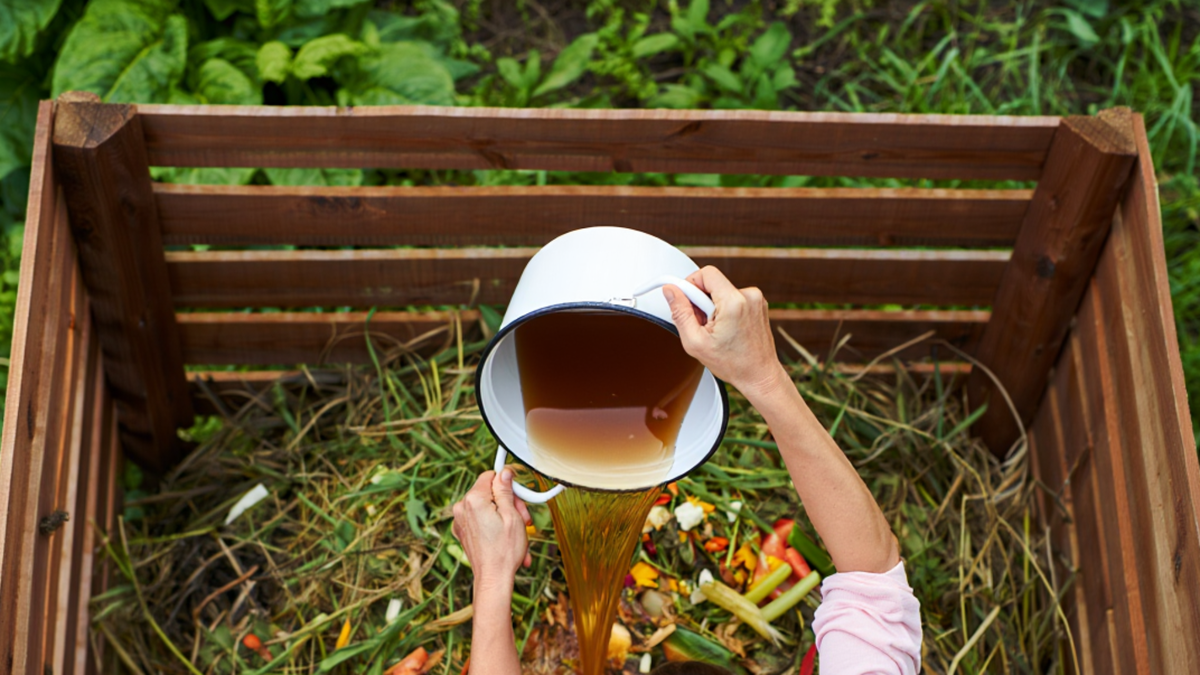 Как добиться идеального компоста: секреты переработки даже костей