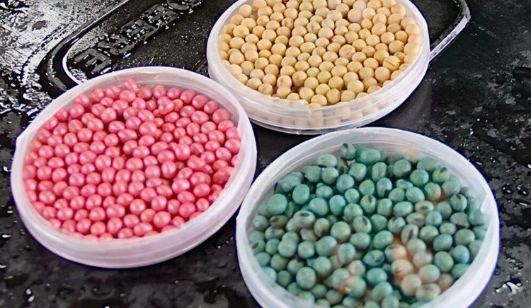 ��� ��������� ������������ ��������� ���������� ��� ���: ������ �� ��������������