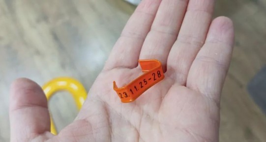 Секреты цветов хлебных бирок: как выбирать свежий хлеб с умом