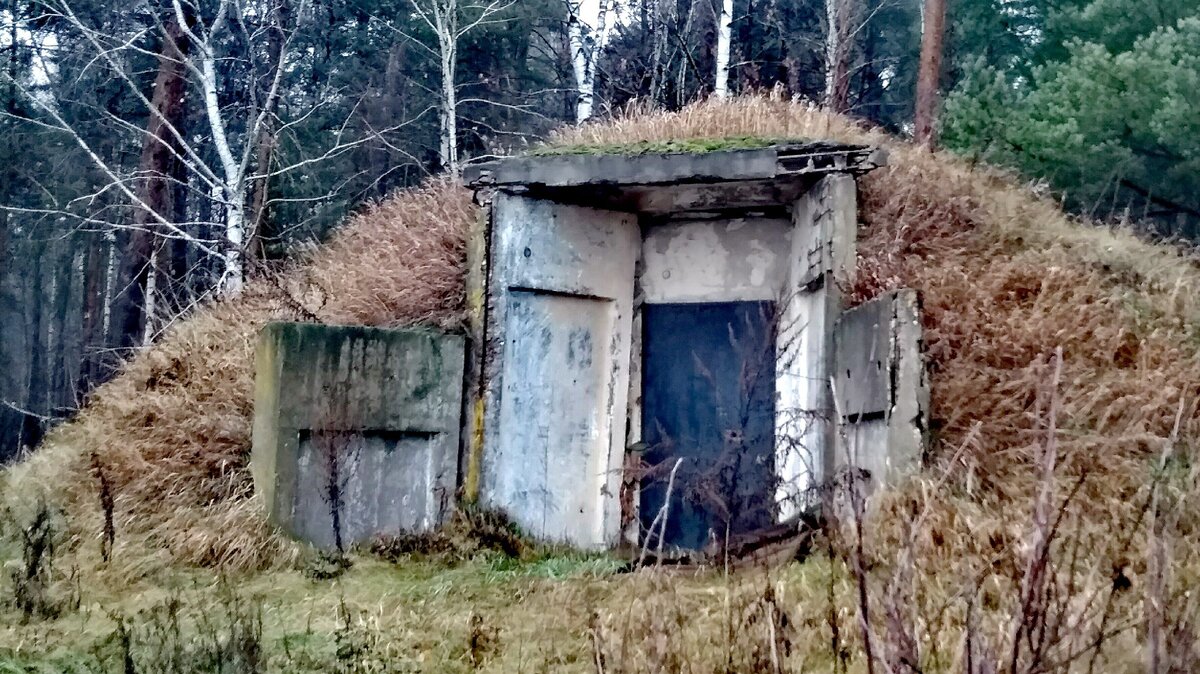 Тайны неизвестного объекта на берегу Оки: Что скрывает бункер?