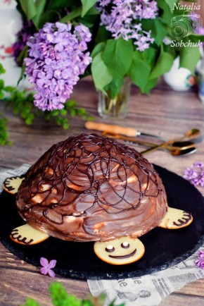 ���� ����������: ������� �������� ������������ �������