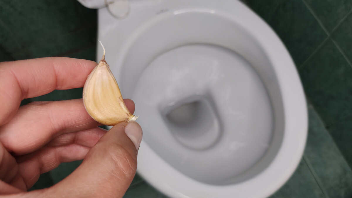 Чеснок в унитазе: неожиданные преимущества для идеальной чистоты