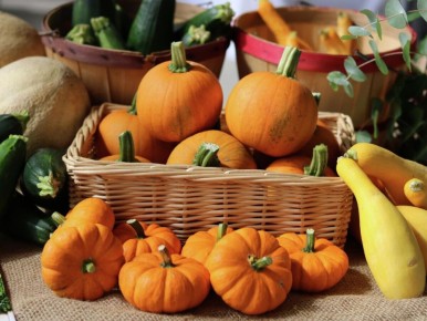 �����: ������� �������� ������� � ��������������� ��������