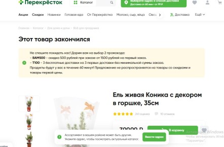 Элита хвойных: как защитить ель Конику от обгорания