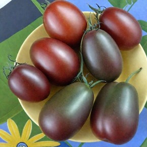 ����� ������� ����������: ���������� ������ �� ����� �������