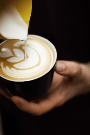 Растительное молоко: как альтернатива меняет мир specialty-кофе