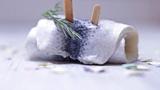 �������� ��� �� ����: ������, ������ � �������� ����� ���������