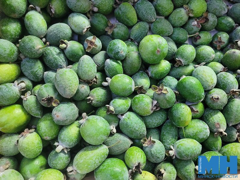 ��� ����� ������ �� ��������� � ��������: �����, ������ � ���� �� ���������� �������