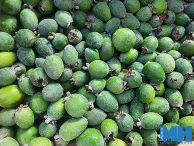 ��� ����� ������ �� ��������� � ��������: �����, ������ � ���� �� ���������� �������