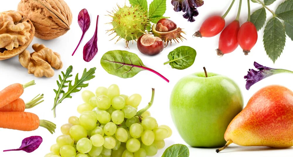 Секреты ботанического сада: что растет в Москве и как это используется