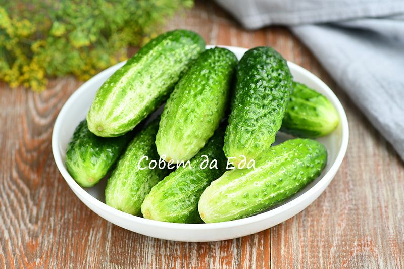 ����������� ������ �� ���: ������ ������� �������