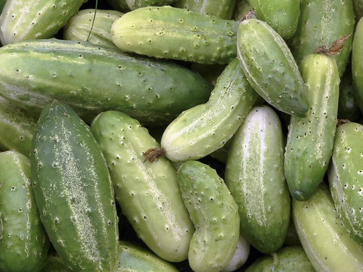 ������ �� ���� �������: ��� ����� �� ������ ��� �� ��������� �����