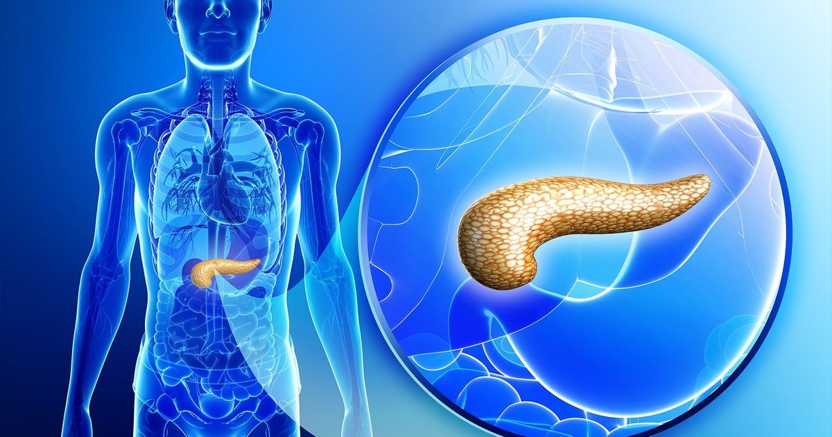 ��� ������� ���� �������� �������� ������������� ������