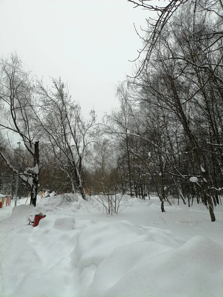 Пасмурный март: дождь и снег в повседневной жизни