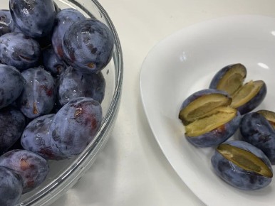 �������� ������: ������ �������������, ����������� ��������