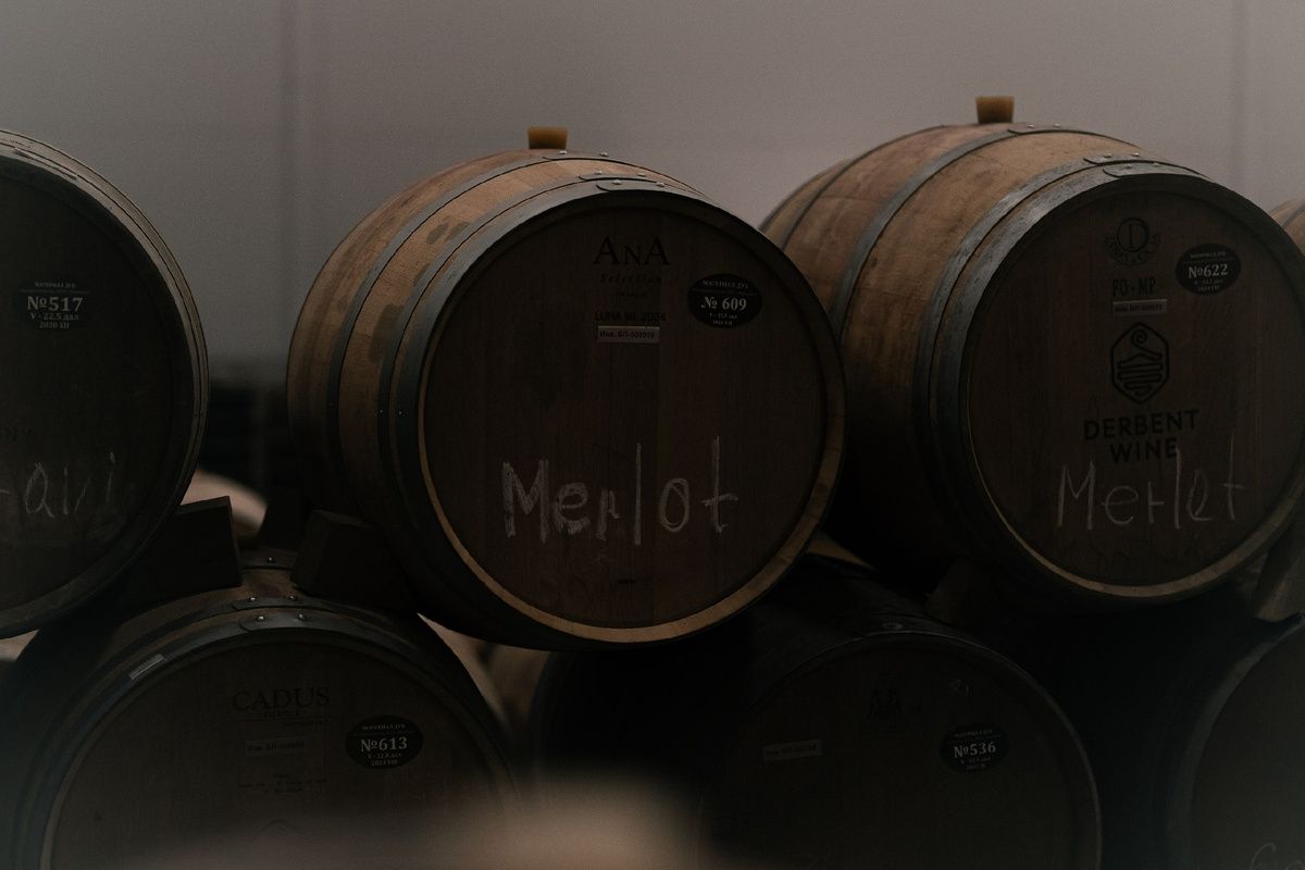 �������� ����: ��� ��� ������ �������� �������