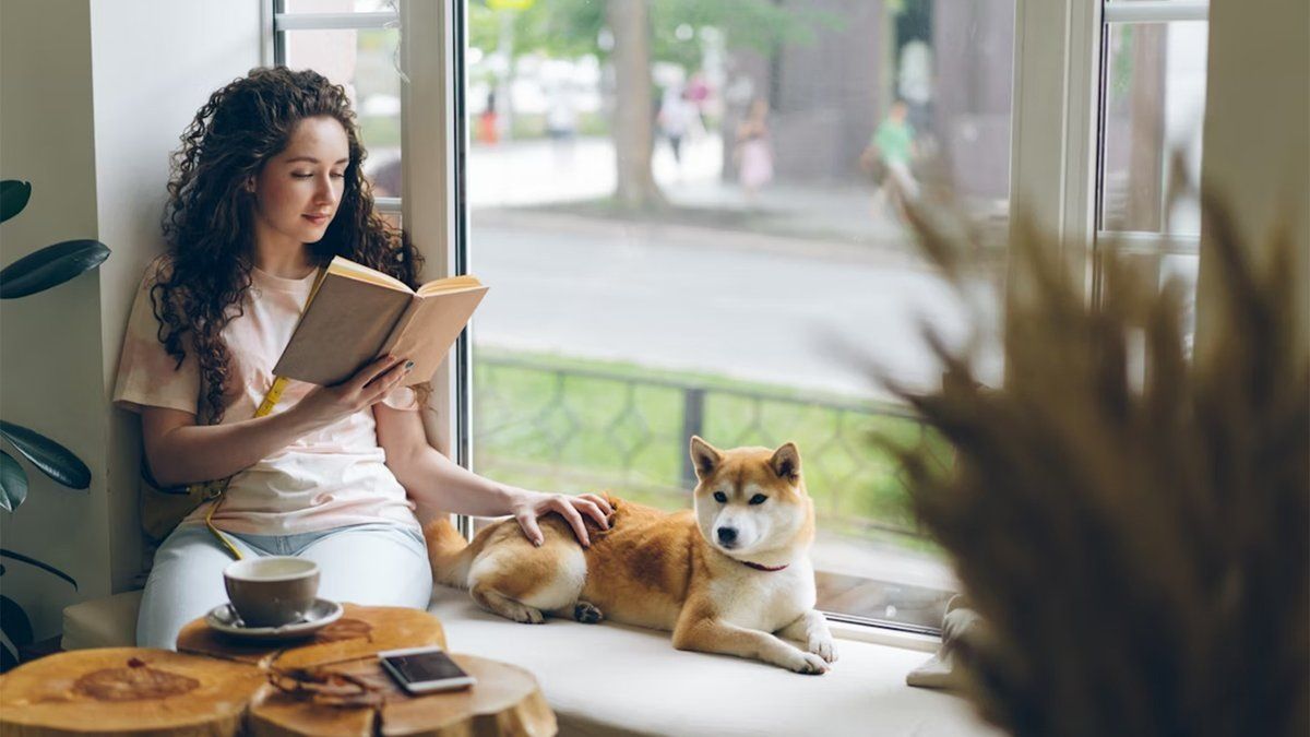 Как закон регулирует работу дог-френдли кафе в России