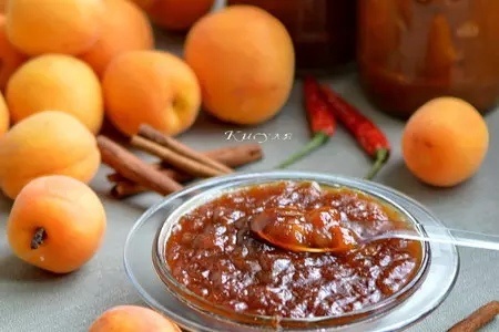 Необычный абрикосовый соус: традиции и вкус молдавской кухни