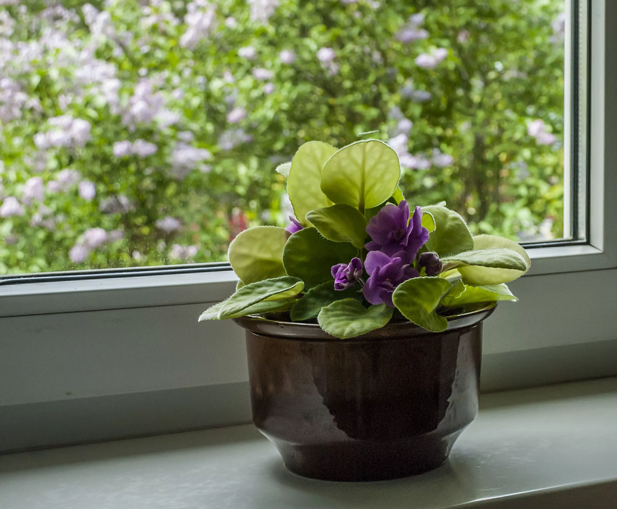 Когда соседство становится опорой