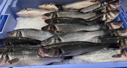 ��� ��������� ���� � �������� ���� ��� ���������: ������ ���-�������