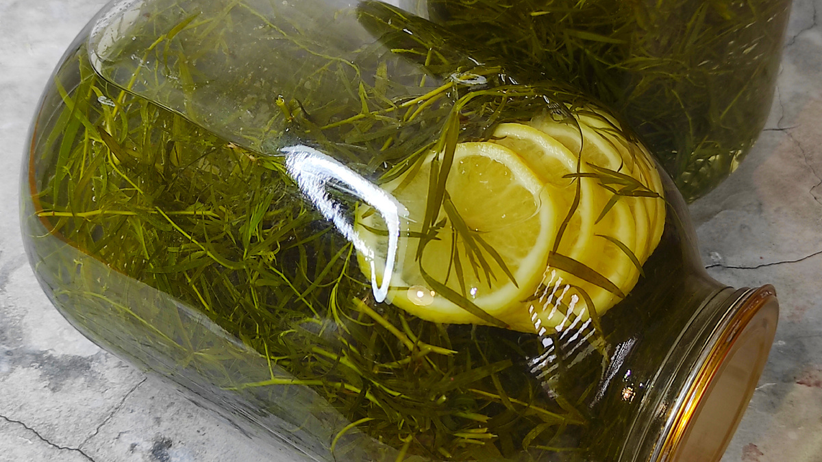 Как приготовить идеальный тархун на зиму: любимый напиток в домашних условиях