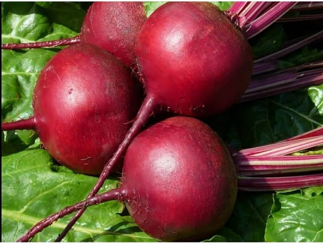 Как правильно консервировать свёклу: два простых рецепта